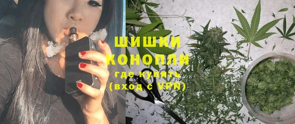 сатива Магадан