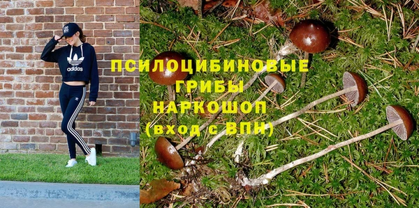 apvp Майский