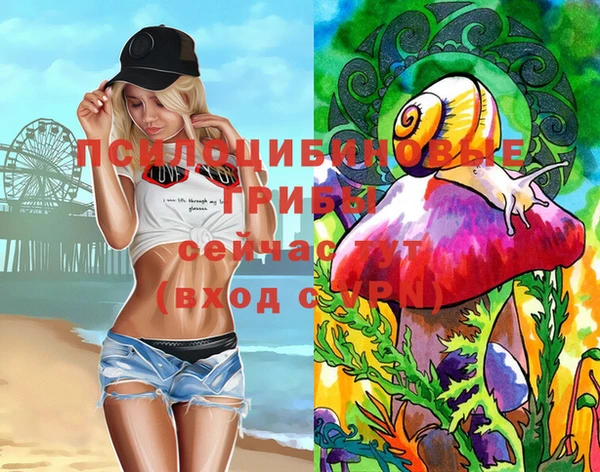 apvp Майский