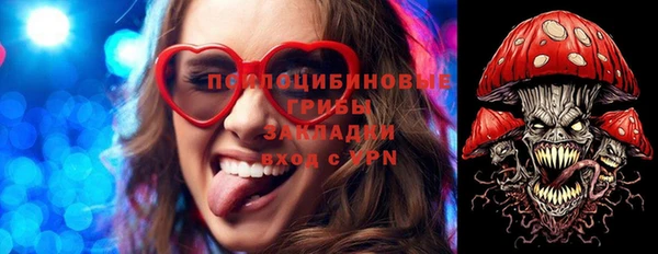 apvp Майский