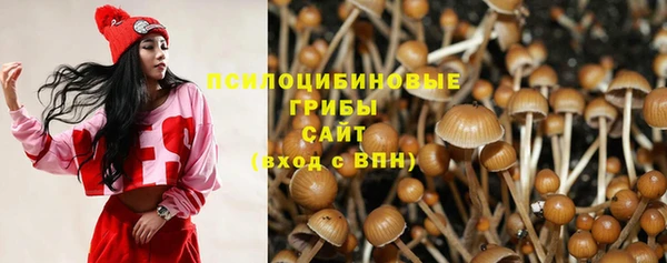сатива Магадан